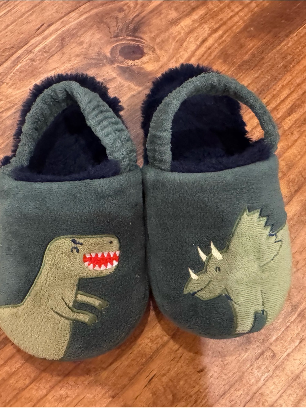 Kids Green Dino Slippers